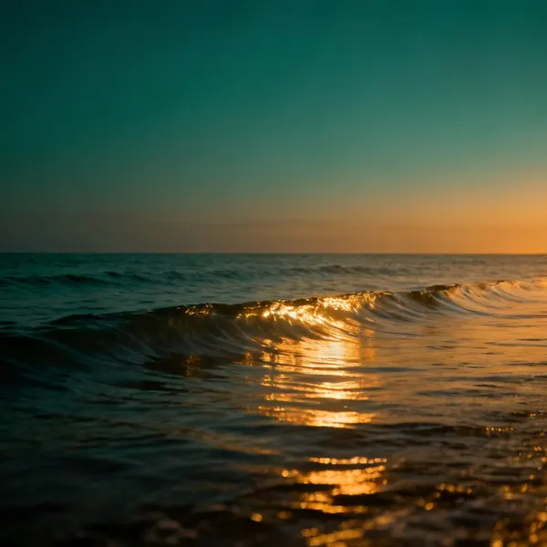 Oceans & Rivers